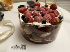 -维尔纳斯·生日蛋糕·动物奶油冰淇淋蛋糕(雨花店)