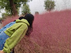 -汉长安城未央宫国家考古遗址公园