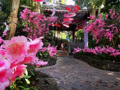 -海口观澜湖火山温泉谷