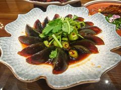 -梁溪河畔·吉府花园(南长街南下塘店)