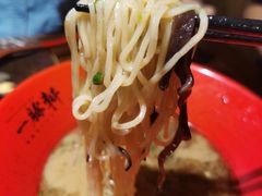 -一豚轩·烧鸟·豚骨拉面(五四路店)