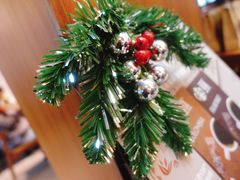 -星巴克臻选(成都宽窄巷子店)