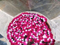 -点都德·毕德寮