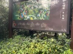 -天目湖涵田半山温泉