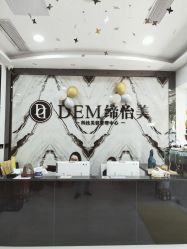 -DEM缔怡美科技美容