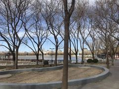 -莲花池公园