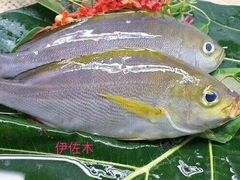 -广东嘉华大酒店·季花铁板烧餐厅