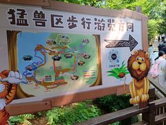 -西霞口神雕山野生动物世界