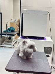 -八佰伴8008星级形象店
