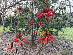 -福建鲤鱼洲酒店