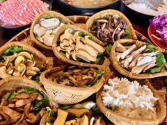 -滇野云南野生菌餐厅(陕西南路店)