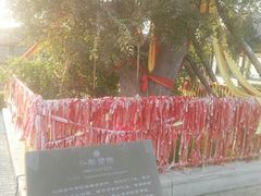 -西安汉城湖景区