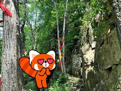 -帽儿山风景区