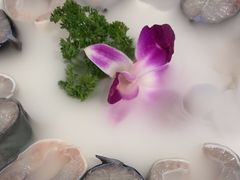 -椰子湾·海南火锅·糟粕醋·椰子鸡(正大广场店)