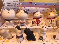 -猫的天空之城概念书店(丽江古城饮玉巷店)