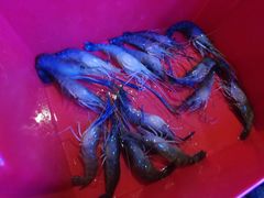 -钳真多钓虾馆·小龙虾海鲜烧烤(九六广场店)