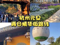 -野蔓果·山野菜(西湖景区·龙井茶田店)