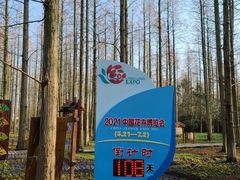 -东平国家森林公园