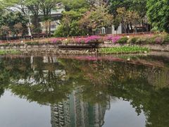 -荔湾湖公园
