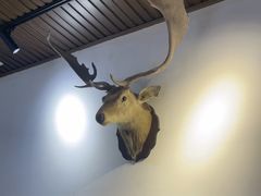 -山也·私厨(岳麓店)