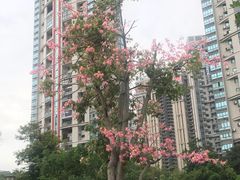 -潮福城潮州大酒楼(湖滨北路店)