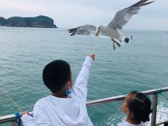 -海驴岛(荣成市)