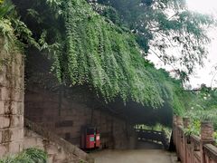 -成都市活水公园