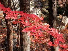 -丹东天桥沟景区