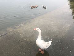 -仰山公园