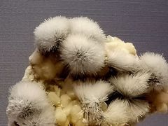 -湖南省地质博物馆