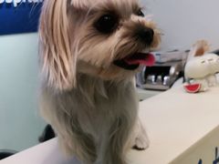 -全心全意连锁动物医院(加州店)