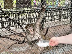 -长白岛森林公园