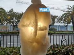 -野草莓自由市场