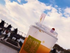 -奈雪的茶(百盛店)