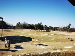 -宁波野生动物园