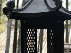-韬光茶庵