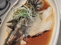 -南棠馆粤菜坊(群光店)