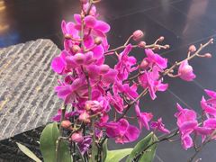 -黔蘑菇四季餐厅(观山湖店)