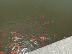 -宝鸡植物园