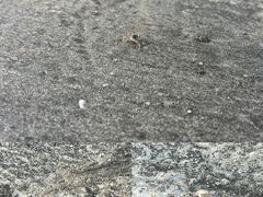 -浪琴湾度假村