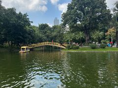 -晓港公园