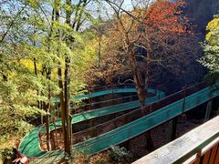-莫干山风景区