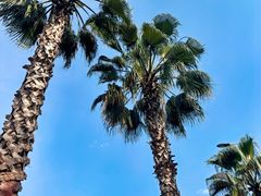 -西昌邛海湿地