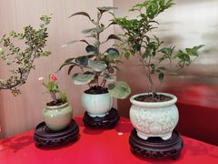 -手佳按摩·足疗·艾灸(博物院中山陵店)