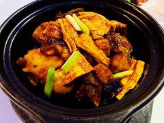 生焖海石斑-广州塔晖粤轩中餐厅