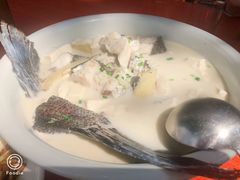 -全乐鱼馆·淳牌有机鱼直营店