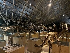 -世界恐龙谷景区