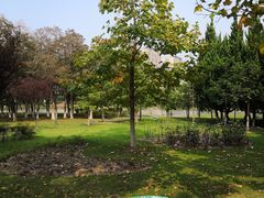 -白塘生态植物园