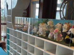 -童趣廊·儿童波波池·海洋球(长隆横琴湾酒店)