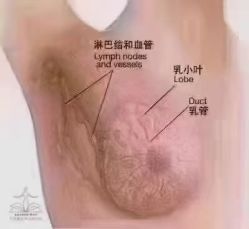 -姜美堂·蒸姜除湿の纤体美颜馆